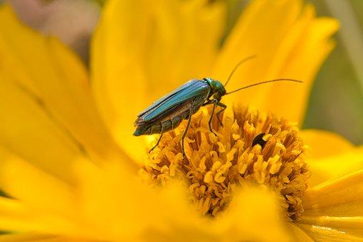 盈余公积计提比例