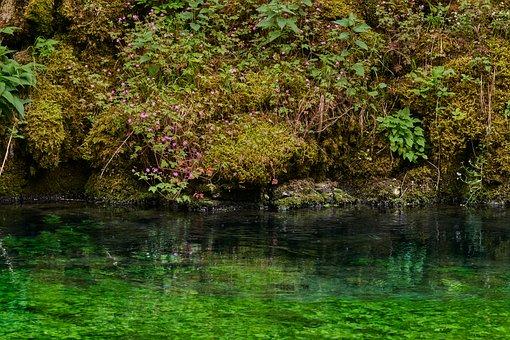 信用卡欠10万无力偿还怎么办