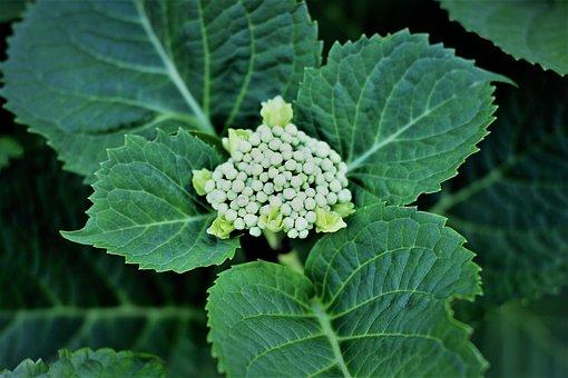 合同法司法解释二全文