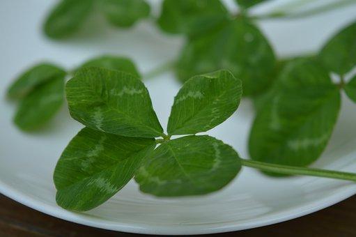 交通局属于什么单位