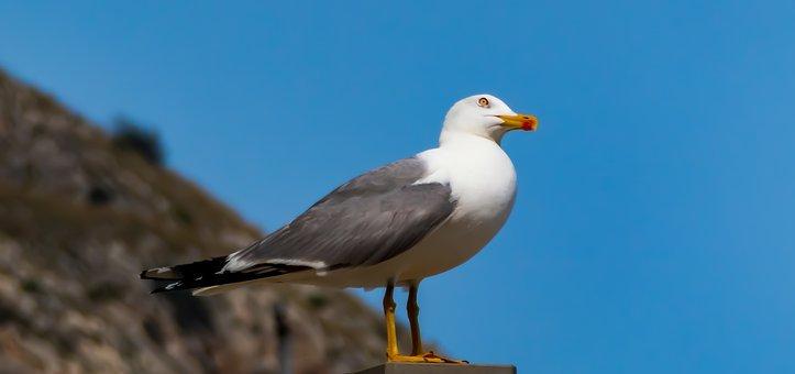 解除劳动合同如何赔偿