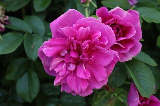 投资公司注册资金