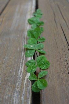 委托人是什么意思