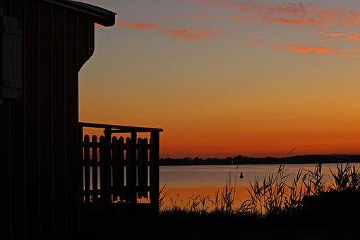 无犯罪记录声明