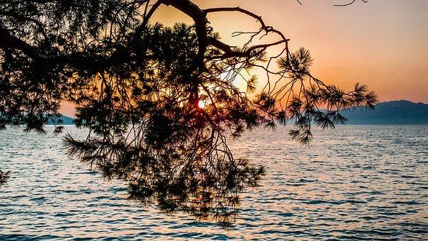 出国旅游需要什么手续