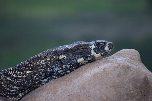 注册企业需要多少钱