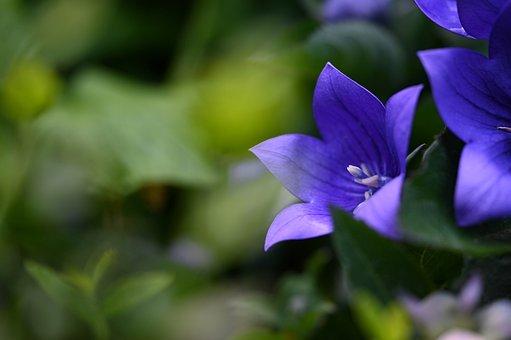 安置房房产证多久能拿