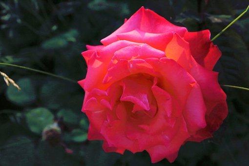 杭州社保咨询电话