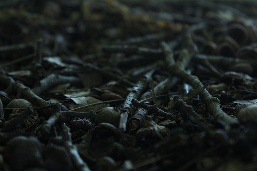 加拿大创业移民