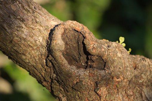 注销公司需要多少费用