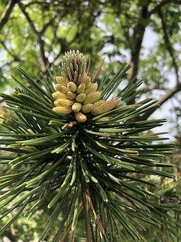 多少岁可以打工