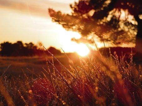 个人独资企业公司章程