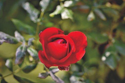 职教是什么学校