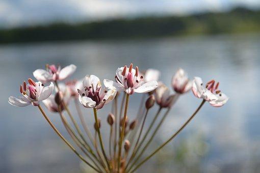 环境污染的危害