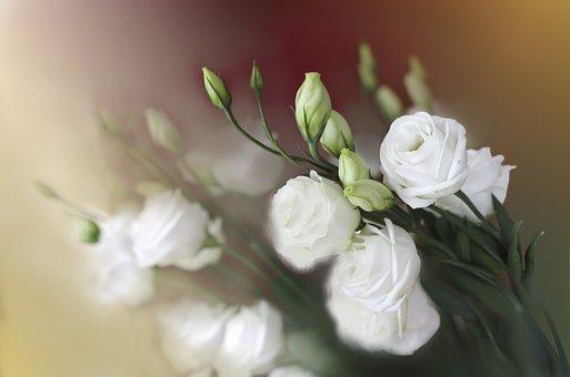 他扒开我的内裤强吻