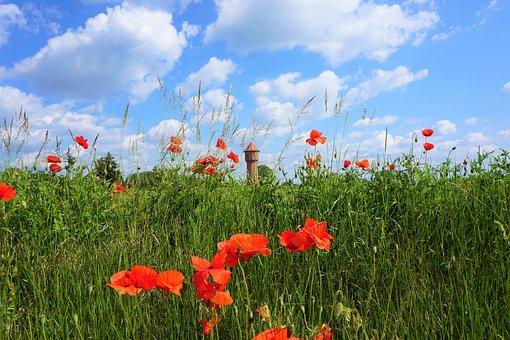 网上如何签订合同