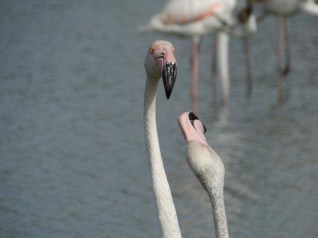 党费收缴标准2019公式