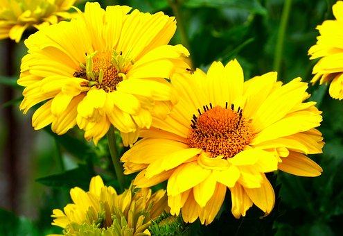 办理离婚证会被问什么