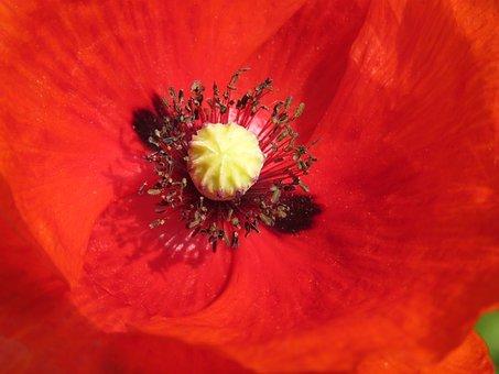 企业改制最新补偿文件