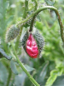 农村户口迁城市户口需要什么手续