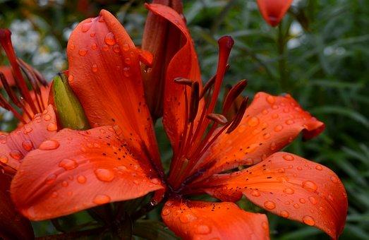 新婚姻法离婚的条件