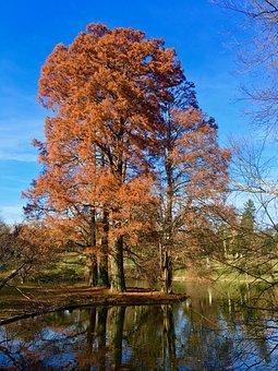 男生故意婚前贷款买房