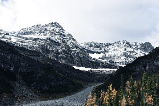 没有房本的房子怎么过户