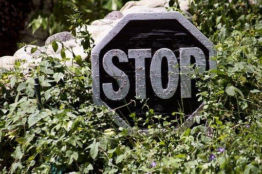 有限责任公司自然人独资