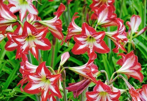 翼虎二手车为什么便宜