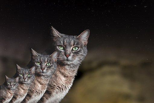 协议离婚财产如何分配