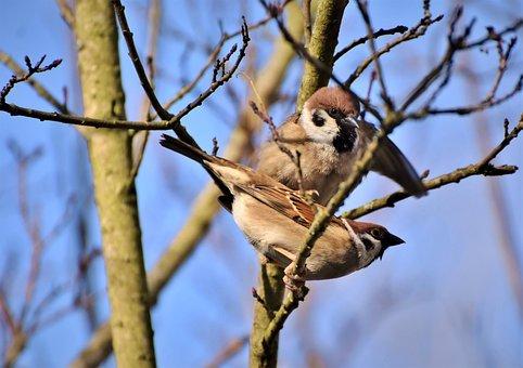 专家门诊和普通门诊的区别