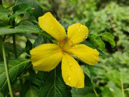 吸烟的危害50条