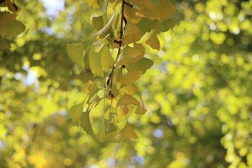 破坏公私财物罪立案标准