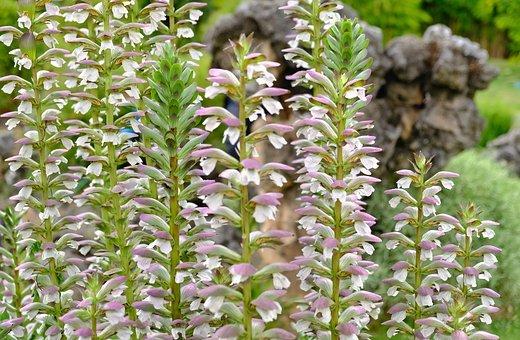 意外险一年要多少钱