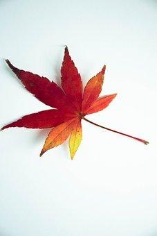 元旦节放假安排