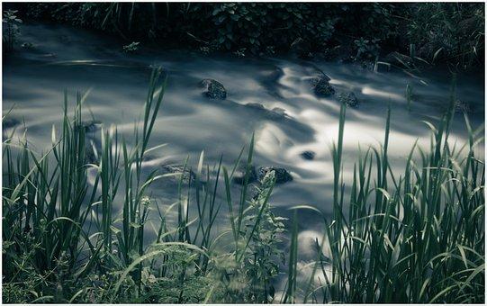 杭州牌照摇号网站