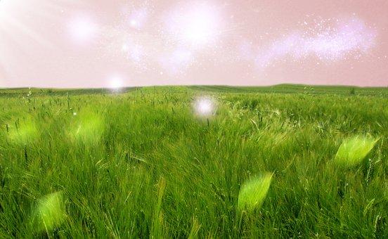 转让商标要多少钱