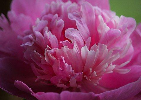 什么是不动产证