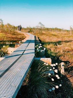 征收和征用的区别