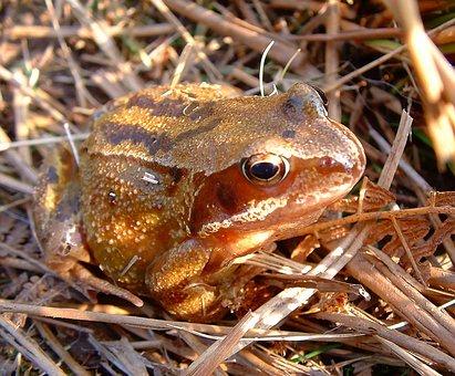 教育费附加减免税政策