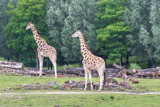 房屋拆除合同协议书