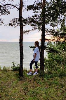 财产保全担保费用标准