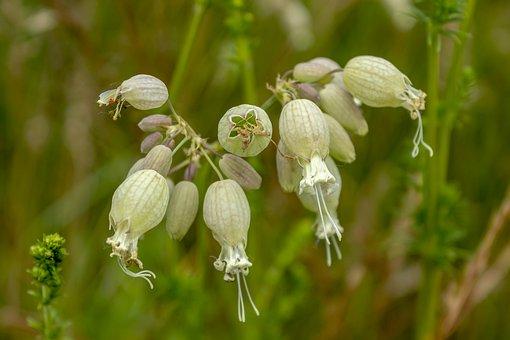 公司需要交哪些税