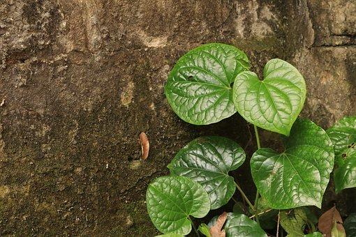 银行按揭贷款计算方法