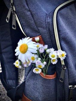 退伍军人干什么好