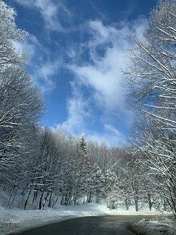 南京律师事务所咨询