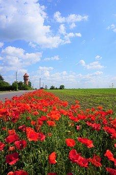 合伙人企业注册