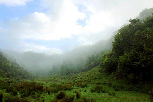 连带责任保证期间