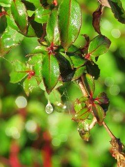 二手房交易合同