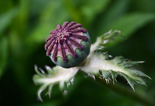 沈阳住房公积金查询